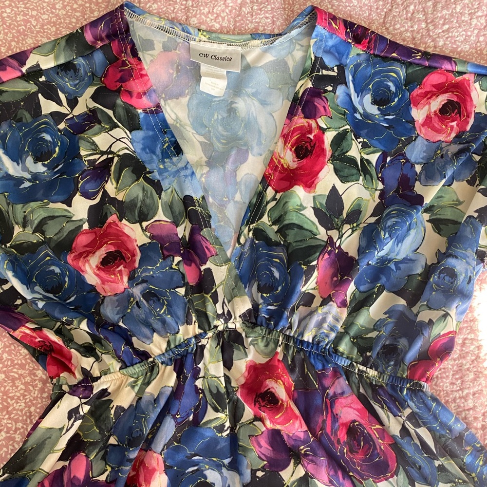 Blue and Red Rose dress from CW classics!